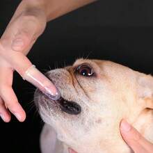 Pet Silicone Finger Cots Toothbrush Cats Dogs Brushing Dog Accessories Pet Teeth Oral Cleaning Products - View 4