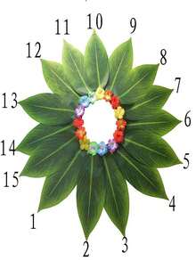 Váy lá Hawaii đi biển, váy cỏ xanh, trang phục Hawaii, đồ dùng dự tiệc mùa hè cho người lớn, phụ nữ và bé gái, lá 10 cạnh màu xanh lá cây (1 chiếc), lá 15 cạnh (1 chiếc). - váy lá vải - Xem 14