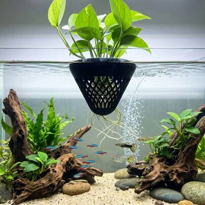 Chậu trồng cây nổi trên mặt nước, giỏ đựng cây thủy sinh thích hợp cho cây thường xuân và các loại cây thủy sinh khác, cốc treo trên mặt nước có giỏ đỡ rễ, dùng để trang trí bể cá.
