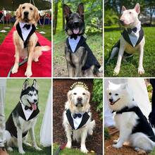 2pcs/Set Pet Tuxedo And Scarf Set: Small/Medium/Large Dog Formal Party Outfit - Dog Clothes - Prince Bow Tie Shirt - Golden Retriever Samoyed Wedding Attire - Black - View 5