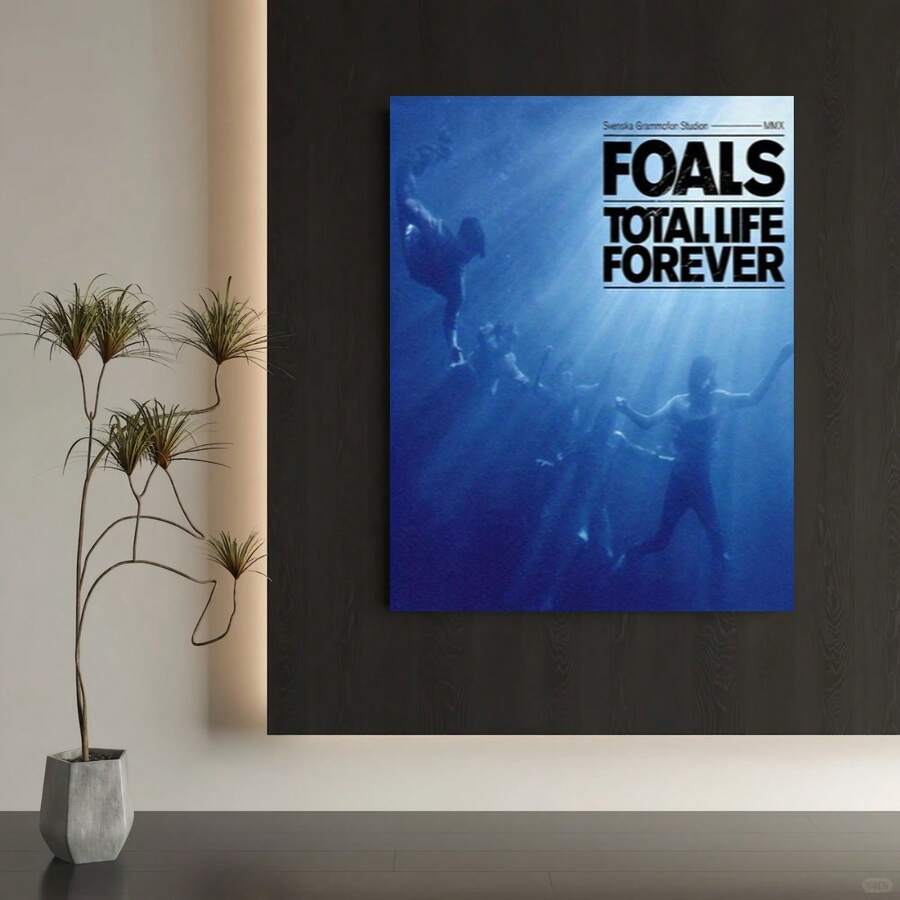 Enmarcado Póster plano 2D, 2D plano, 1 pieza, con marco de potrillos. Lienzo de la portada del álbum Total Life Forever de Foals, ideal para decorar salas de estar, dormitorios, baños, cocinas, oficinas y cafeterías - Enmarcado - Ver 1