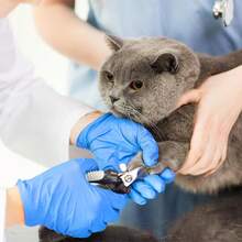 Găng tay bảo hộ dùng một lần bằng cao su nitrile, chống rách, dùng được cả hai tay, chất liệu PVC, chống thấm nước, thích hợp cho việc lau chùi, rửa chén, sơn, nhuộm tóc, làm móng, không chứa bột, không chứa latex. - A - Xem 3