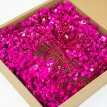 50/260pcs Mini Gypsophila - For Resin Mold Art And Crafts, Ivory White Bouquet For Hair Accessories, Wedding Wreaths, Table Decorations, Home Decor, Etc. - Hot Pink - View 7