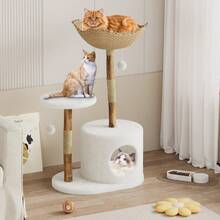 Modern Wood Cat Tree Tower, Natural Wood Frame,Stylish Indoor Cat Condo & Furniture For Kittens And Cats - 無色 - 查看 7