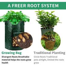 Túi trồng khoai tây có vách ngăn và tay cầm, túi trồng rau thích hợp cho cà chua, trái cây, cà rốt, hành tây, khoai tây, dâu tây và các loại rau khác. Túi trồng có vách ngăn. - Nhiều màu - Xem 2