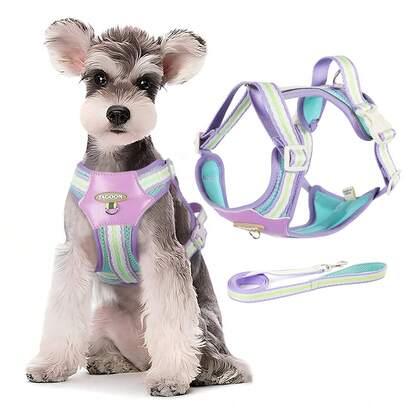 2pcs Dog Harness, No-Pull Pet Harness With Breathable Mesh For Small Dogs, Vest With Leash, Adjustable Chest Strap For Training, Suitable For Medium And Small Dogs And Cats