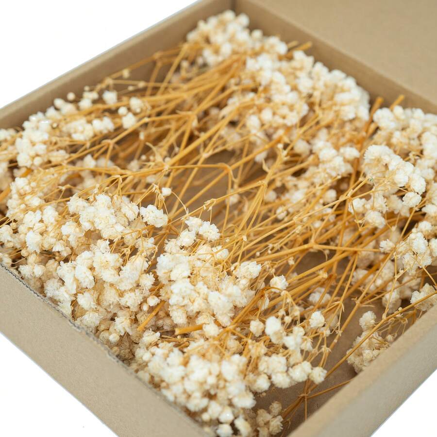 50/260pcs Mini Gypsophila - For Resin Mold Art And Crafts, Ivory White Bouquet For Hair Accessories, Wedding Wreaths, Table Decorations, Home Decor, Etc. - Beige - View 1