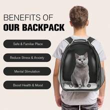 Breathable Large Capacity Pet Carrier Backpack For Cats, Portable For Outdoor Use - Multicolor - View 8