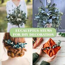 12 Dried Eucalyptus Branches, 45 Cm, Natural Dried Flowers, Eucalyptus Decoration, Preserved Eucalyptus Plant, For Wedding, Floral Arrangement, Home Decor - 12pcs - View 5