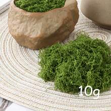 Dekorasi Lumut Buatan 10-200g - Lumut Palsu Buatan, Tanaman Hijau Realistis, Rumput Lumut DIY untuk Tata Letak Lanskap Mikro, Cocok untuk Lanskap Mikro, Dekorasi Jendela, dan Tata Letak Desain - MultiWarna - View 10