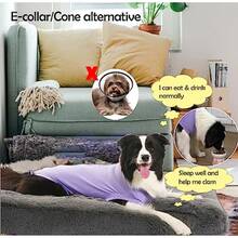 Dog Recovery Suit Female Y Surgery Small Puppy  Zper Closure Cotton Stred Woun Protect Surgical Suit Plain Purple XS - Blank Purple Suit - View 3