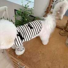 Pet Clothes Striped Simple Breathable  Dress For Small Pets - Black and White - View 3