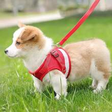 反光宠物胸背带和牵引绳套装，适用于犬猫，防逃脱可调节小型犬胸背带，透气柔软网眼材质 - 紅色 - 查看 4