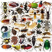 50张逼真昆虫贴纸，可定制蝴蝶、甲虫、蜘蛛、蟋蟀、蜥蜴 - A - 查看 8