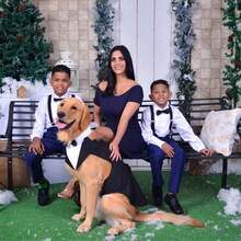 2pcs/Set Pet Tuxedo And Scarf Set: Small/Medium/Large Dog Formal Party Outfit - Dog Clothes - Prince Bow Tie Shirt - Golden Retriever Samoyed Wedding Attire - Black - View 2
