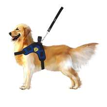 Coleira Peitoral Guia Com Cinto De Segurança Para Cachorro Mod X - Azul - Visão 6