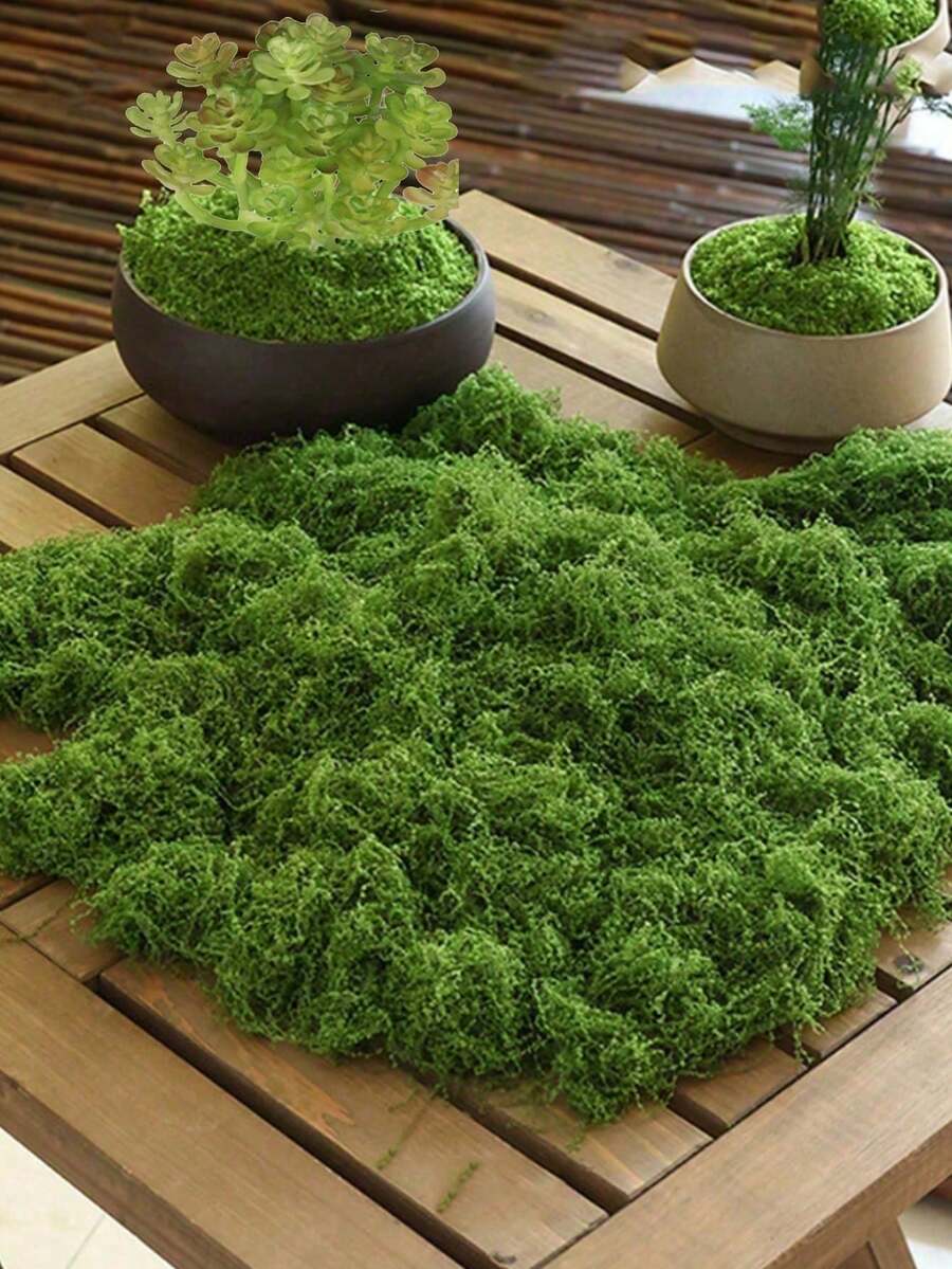Dekorasi Lumut Buatan 10-200g - Lumut Palsu Buatan, Tanaman Hijau Realistis, Rumput Lumut DIY untuk Tata Letak Lanskap Mikro, Cocok untuk Lanskap Mikro, Dekorasi Jendela, dan Tata Letak Desain - MultiWarna - View 1
