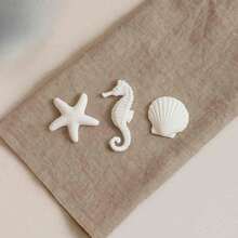 Aplique Fundo Mar Resina Quadro Mdf Branco Kit 45 Pçs - Padrão - Visão 2