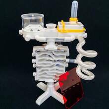 Granja de hormigas de acrílico impresa en 3D con forma de doble hélice de ADN, nido de hormigas expandible adecuado para hormigas pequeñas a medianas - CN - Ver 8
