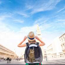 Breathable Large Capacity Pet Carrier Backpack For Cats, Portable For Outdoor Use - Multicolor - View 4