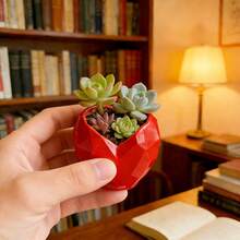 1pc Durable Plastic Geometric Heart-Shaped Planter - Modern/Outdoor Flower Pot, 3D Printed, Suitable For Balcony, Garden, Desktop Decor, Asymmetrical Heart-Shaped Plant Pot, Succulent Pot, Ideal Gift For Valentine's Day, Mother's Day - 1PC - View 7