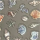Colorful Marine Life