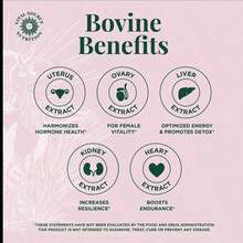 BiFi - Primal Health Blend Capsules,Supplement For Energy, Vitality And Wellness, 100% Natural, Non-GMO, Gluten-Free - 2PCS - 查看 2