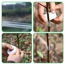 2 Cuộn Băng Ghép Cây Polyethylene – Màng Ghép Cây Tự Dính Co Giãn, Băng Ghép Cây Dùng Trong Vườn, Băng Sửa Chữa Mầm Cây Cho Hoa Cây Ăn Quả, Băng Vườn Ươm, Băng Ghép Mầm, Vật Tư Làm Vườn - trong suốt - Xem 5