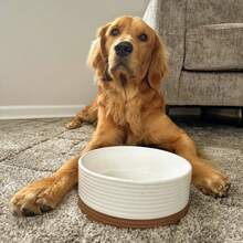 Mora Ceramic Pet Bowl Size Medium - Food/Water Dish For Large Puppies, Cats, Retrievers, Medium Sized Dogs, Ect. 28oz Or 4 Cups - Basic Bowls For Your Dog Or Cat, Mix And Match For A Set - Vanilla - 燕麥 - 查看 6