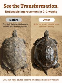 GJYC PET 1盎司龟壳护理霜 - 龟壳护理调理剂、保湿霜、清洁剂和保护蜡 - 龜殼護理 - 查看 4