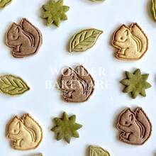 动物饼干模具 卡通熊狐狸兔子松鼠狗造型饼干模具 烘焙工具 厨房用具 烘焙工具 - 白色 - 查看 1