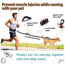 免提式可调节腰带，带狗粪袋固定器、柔软衬垫手柄、带反光缝线的可伸缩弹性带，适合遛狗、跑步、慢跑。 - 彩色 - 查看 3