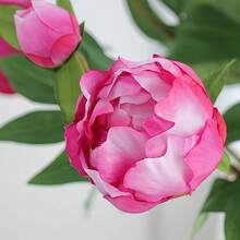 1/5 Bundle 19-Inch Artificial Peony Flower Bouquet, Lifelike Peony, Fake Flowers, Suitable For Home Decor, Valentine's Day Gift, Mother's Day Gift, Wedding Centerpiece Decor, Party Decor, Wedding Bouquet, Office Decor, Bedroom And Living Room Decor - Purple - View 8