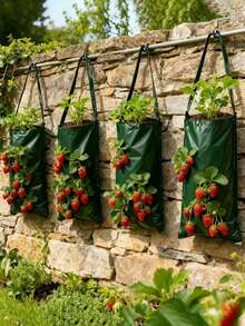 Bộ 2 túi trồng cây treo tường, có 8 lỗ để treo, túi trồng dâu tây, túi trồng cây có tay cầm, thiết kế 3D thoáng khí chống thấm nước, thích hợp để trồng dâu tây, cà chua và dưa chuột, hoa và rau, hộp trồng cây làm vườn, được làm bằng chất liệu nhựa, lựa chọn làm vườn hiệu quả. - Nhiều màu - Xem 2