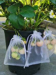 Túi bảo vệ trái cây, túi lưới chống côn trùng và chim cho dâu tây, nho, đào, lựu, hồng, dưa hấu, dâu tây, sung, nho. - Nhiều kiểu dáng - Xem 3