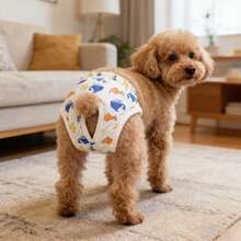 1 chiếc quần sinh lý cho thú cưng, thoáng khí, họa tiết mèo dễ thương, chống quấy rối, chống động dục, phù hợp cho mèo và chó. - Màu xanh lam - Xem 12