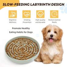 Silicone Maze Slow Feeder Bowl For Dogs And Cats, Non-Slip Puzzle Pet Dish With Food Dispersion, Easy Clean Interactive Bowl(Light Gre1en) - 淺綠色 - 查看 3