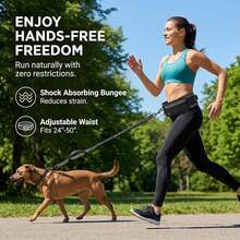 免提式可调节腰带，带狗粪袋固定器、柔软衬垫手柄、带反光缝线的可伸缩弹性带，适合遛狗、跑步、慢跑。 - 彩色 - 查看 4