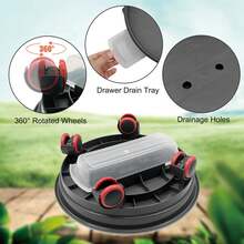 Khay chậu hoa di động có bánh xe đa năng, giá đỡ cây trồng chịu lực cao, đế bánh xe đa năng bằng nhựa, đế tròn dày, chậu hoa nhựa có thể tháo rời kèm hộp đựng nước, khay di động - Nhiều màu - Xem 6