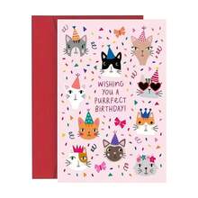 1pc Cute Cat Design Birthday Greeting Card, Suitable For Gifting To Cat Lovers, Family, Partner, Friends And Colleagues - Kitten Greeting Card - View 9