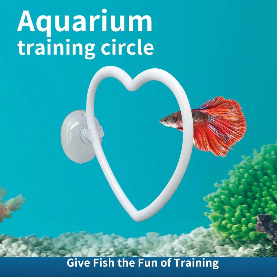 鱼缸训练圈，水族箱配件，鱼类过河训练环，互动吸盘练习环，水族箱装饰，水族箱用品，适用于玻璃鱼缸 - A - 查看 1