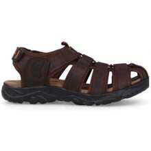 Paredes Sandals VP20323 MAO For Man In Color Brown - بني - مشاهدة 2
