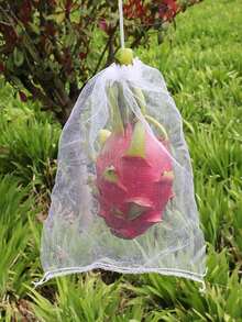 Túi bảo vệ trái cây, túi lưới chống côn trùng và chim cho dâu tây, nho, đào, lựu, hồng, dưa hấu, dâu tây, sung, nho. - Nhiều kiểu dáng - Xem 7