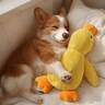 Cat/Dog