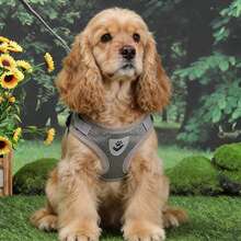 反光宠物胸背带和牵引绳套装，适用于犬猫，防逃脱可调节小型犬胸背带，透气柔软网眼材质 - 灰色 - 查看 6