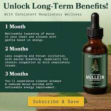 Betterbrand Mullein Drops For Lung Detox - Mullein Leaf Tincture With Chlorophyll - Helps Support Respiratory Health, Alcohol-Free, 1 Month Supply - 60ml - 1PCS - View 6