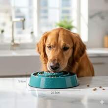 Dog Slow Feeder Bowl Non-Slip Durable -Friendly PP Plastic Medium Size Length 8.07 In Height 2.28 In 30 US Fluid Ounces Of Food Or  Puzzle Bowl Anti-Gul Bowl - 如圖所示 - 查看 5