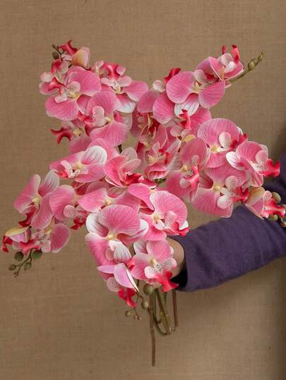 1朵蝴蝶兰花仿真花，带薄膜质感，适用于家居客厅餐桌花卉装饰，假兰花