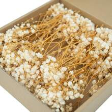 50/260pcs Mini Gypsophila - For Resin Mold Art And Crafts, Ivory White Bouquet For Hair Accessories, Wedding Wreaths, Table Decorations, Home Decor, Etc. - Beige - View 4