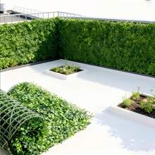 1pc Artificial Evergreen Ivy Panel, Deep Green Plastic Hedge, Fake Greenery. Suitable For Indoor/Outdoor Privacy Screens, Wedding/Home/Office Decor, Spring, Balcony Shading, Wall Decoration - Multicolor - View 8